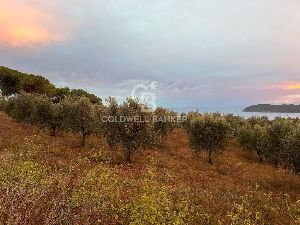 Terreno agricolo in vendita a Porto Azzurro