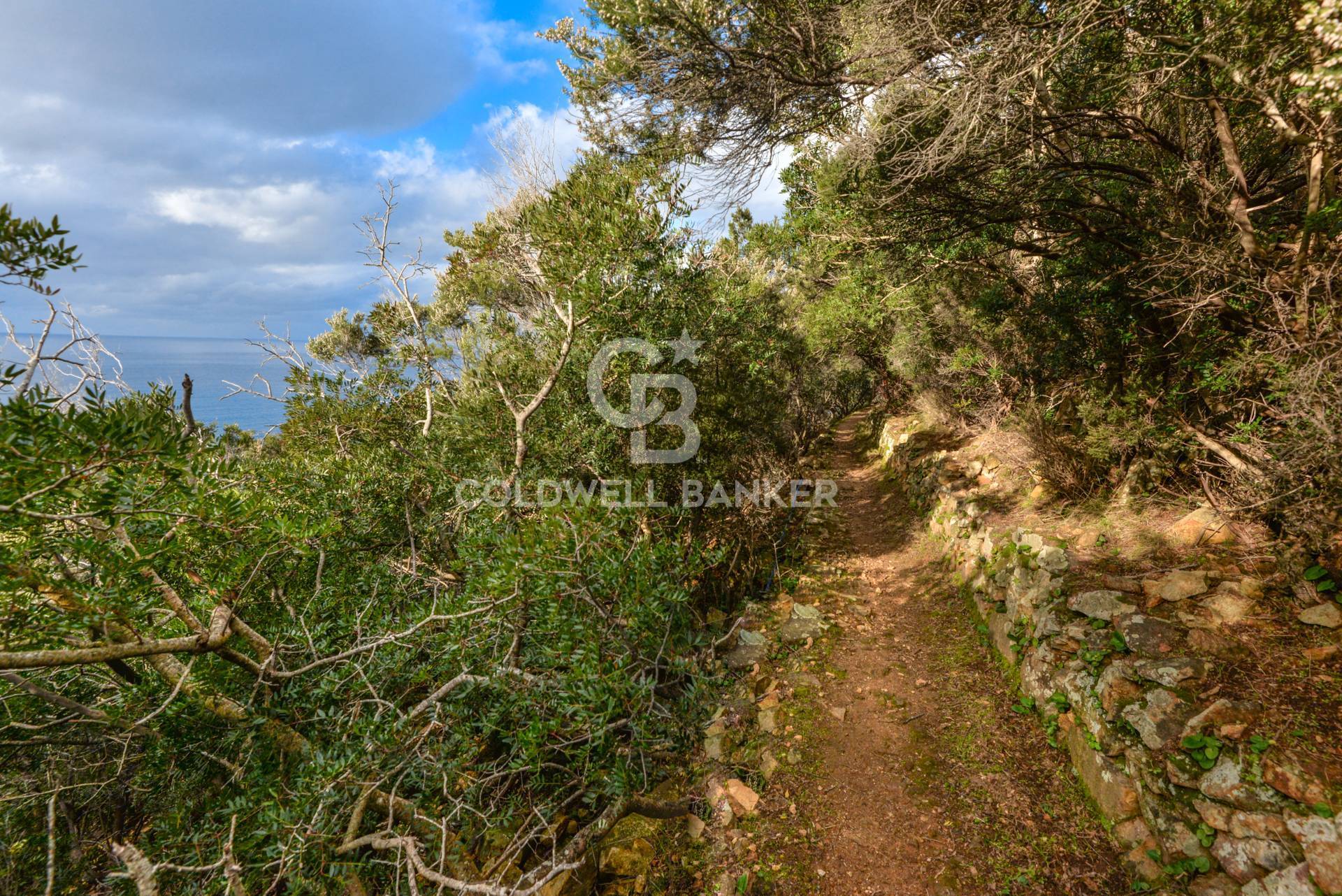 Villa in vendita a Marciana Marina