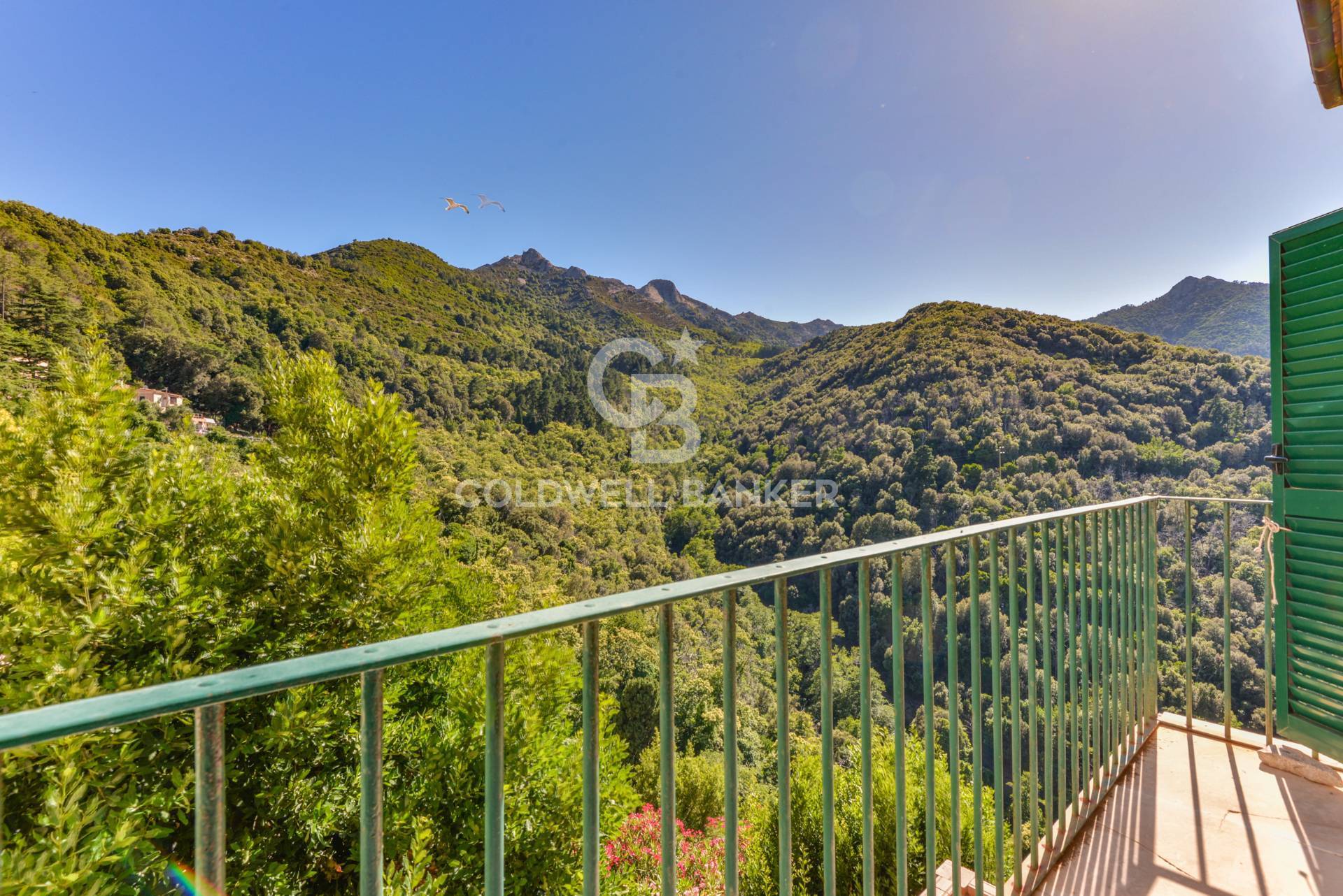 Appartamento in vendita a Marciana, Poggio