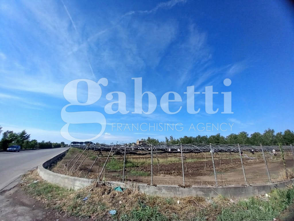 Terreno Edificabile in vendita a San Marcellino