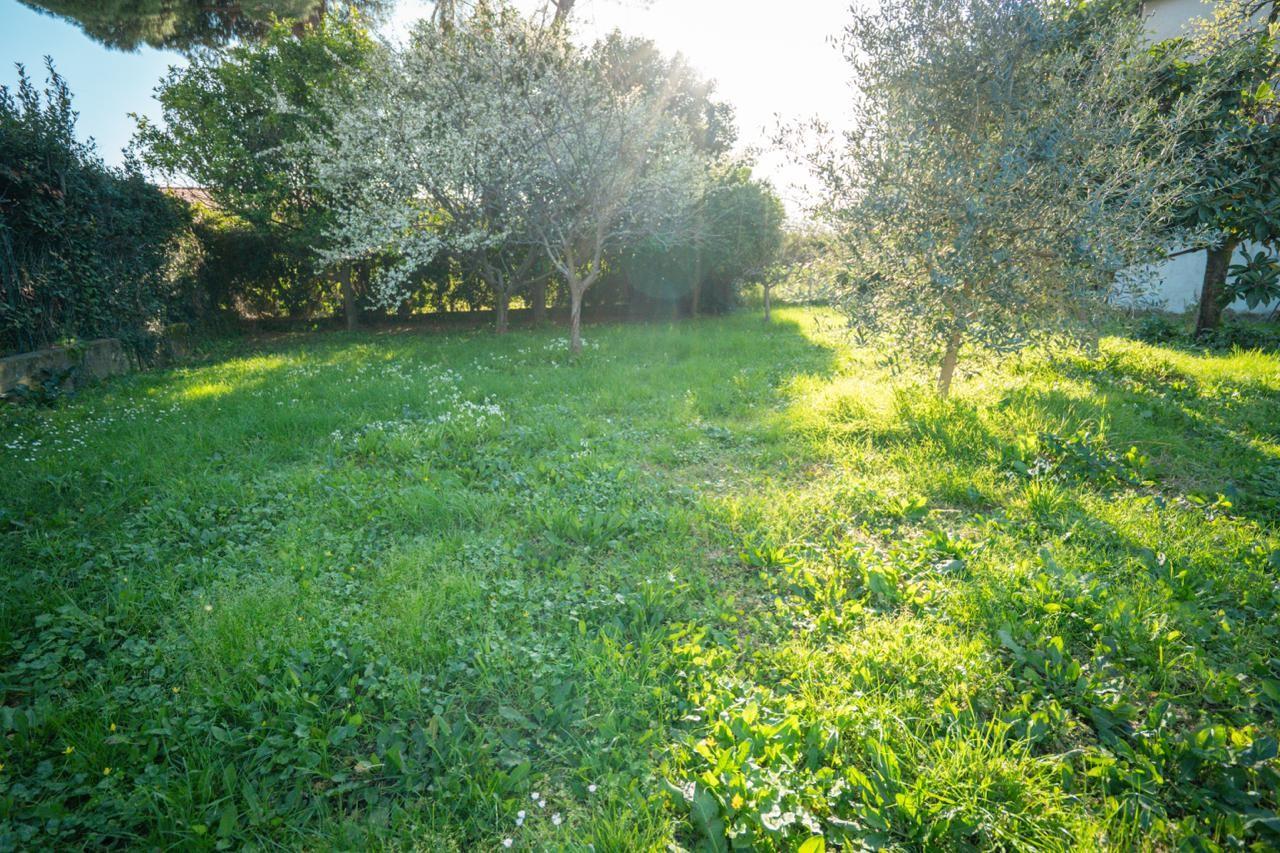 Rustico con terrazzi a Massa