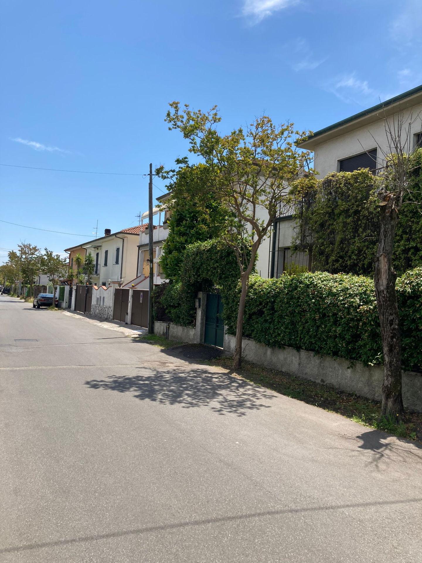 immagine annuncio 3 di 4