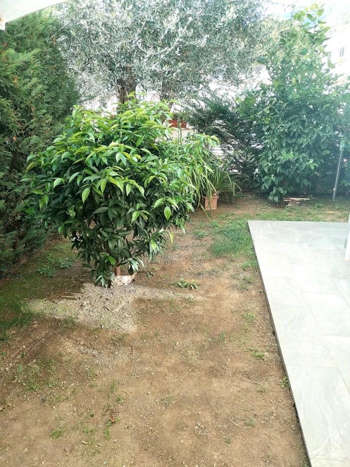 immagine annuncio 2 di 6