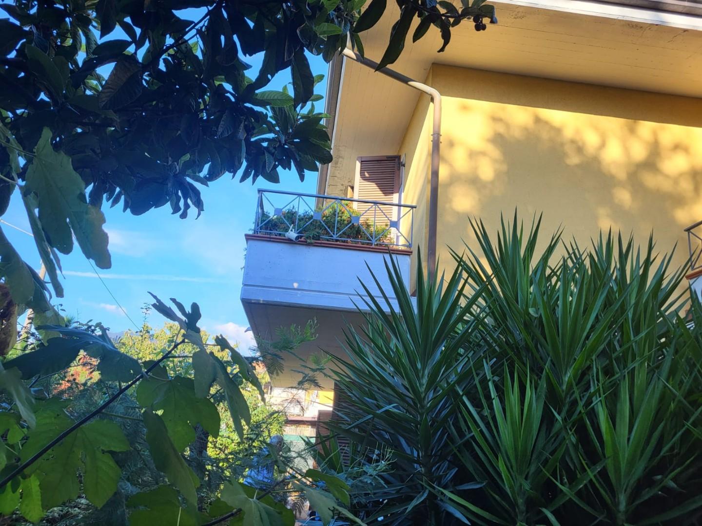 Villa con giardino, Massa marina di