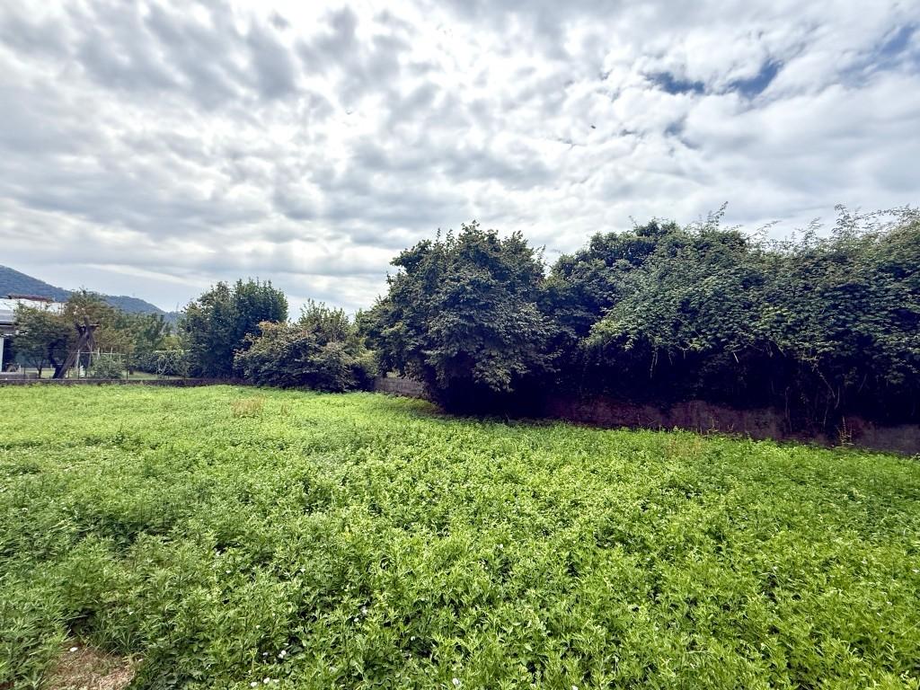 Casa indipendente in vendita, Massa mirteto