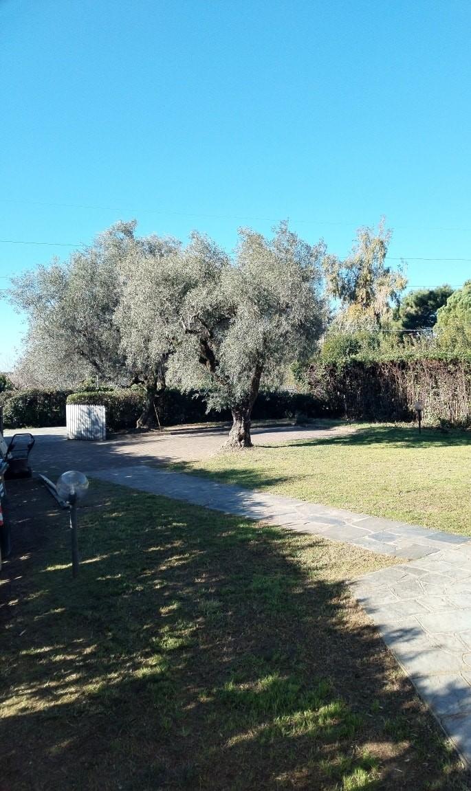 Appartamento con giardino, Massa zona viali