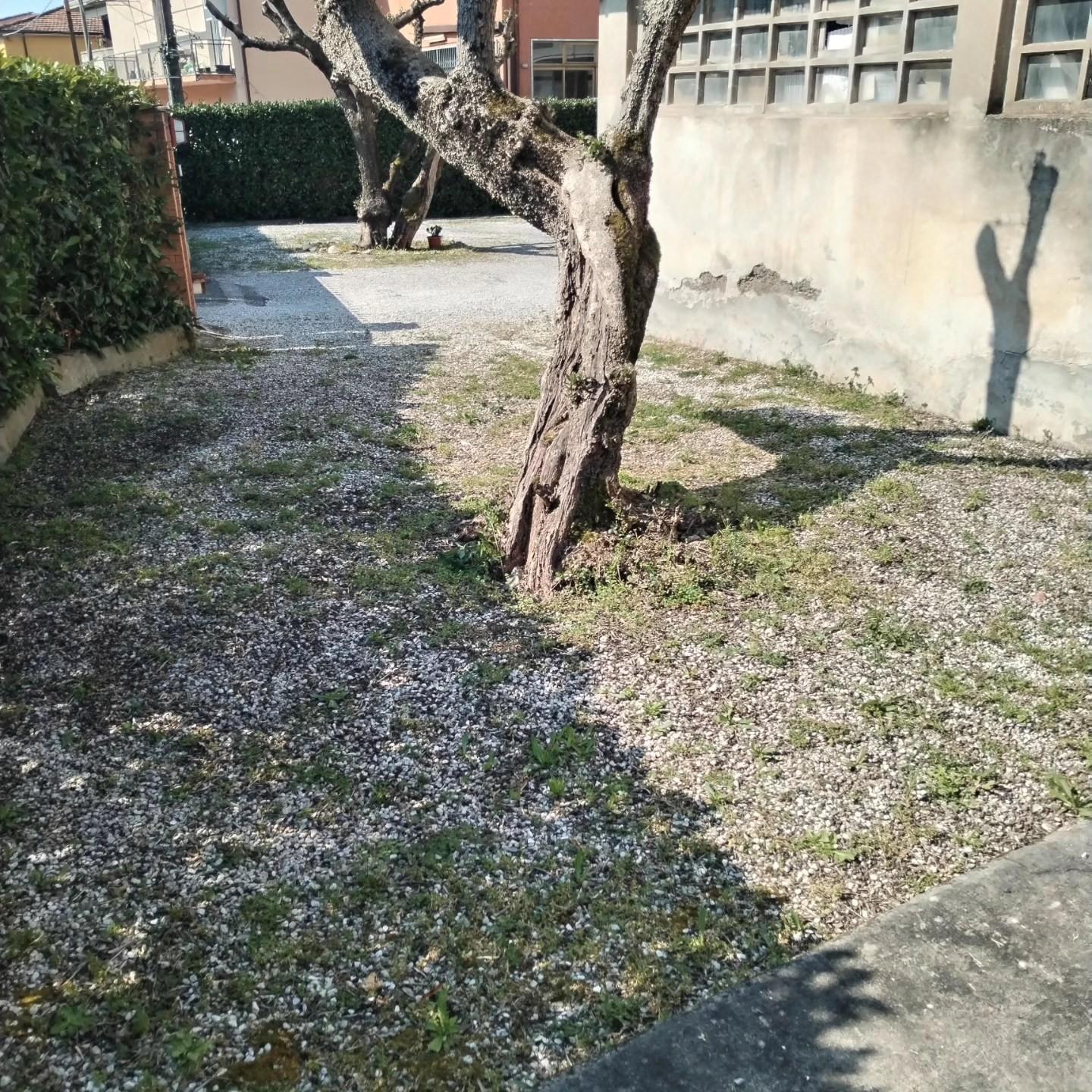 Casa indipendente da ristrutturare, Massa zecca