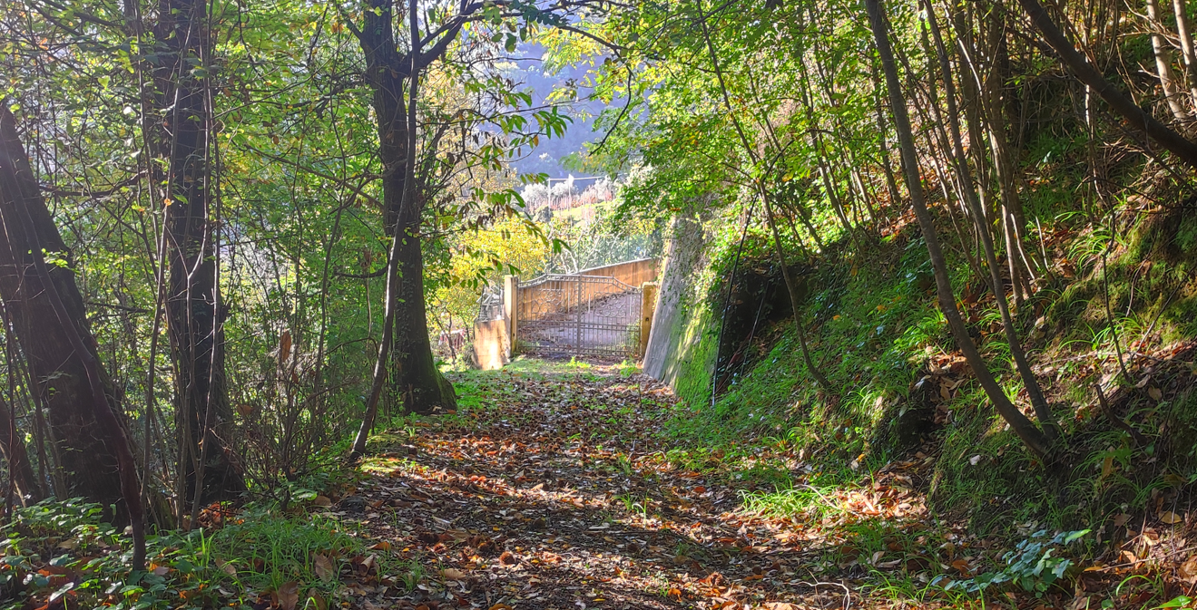 Casa indipendente con giardino, Pietrasanta strettoia