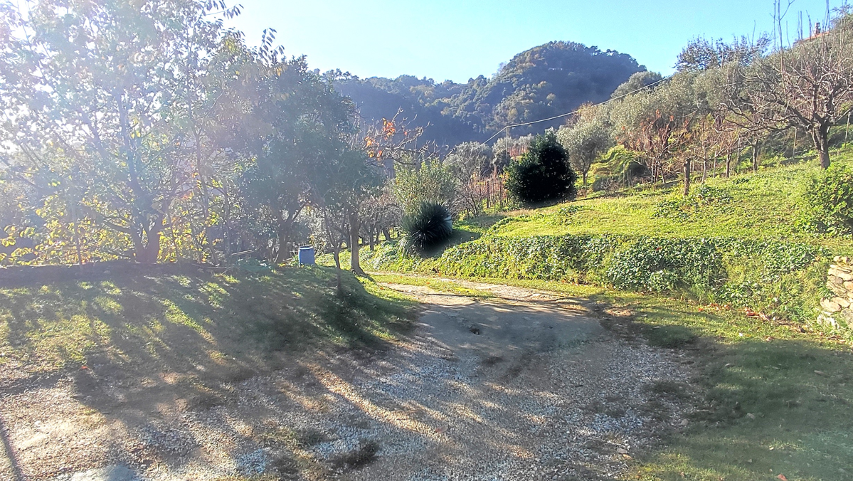 Casa indipendente con giardino, Pietrasanta strettoia