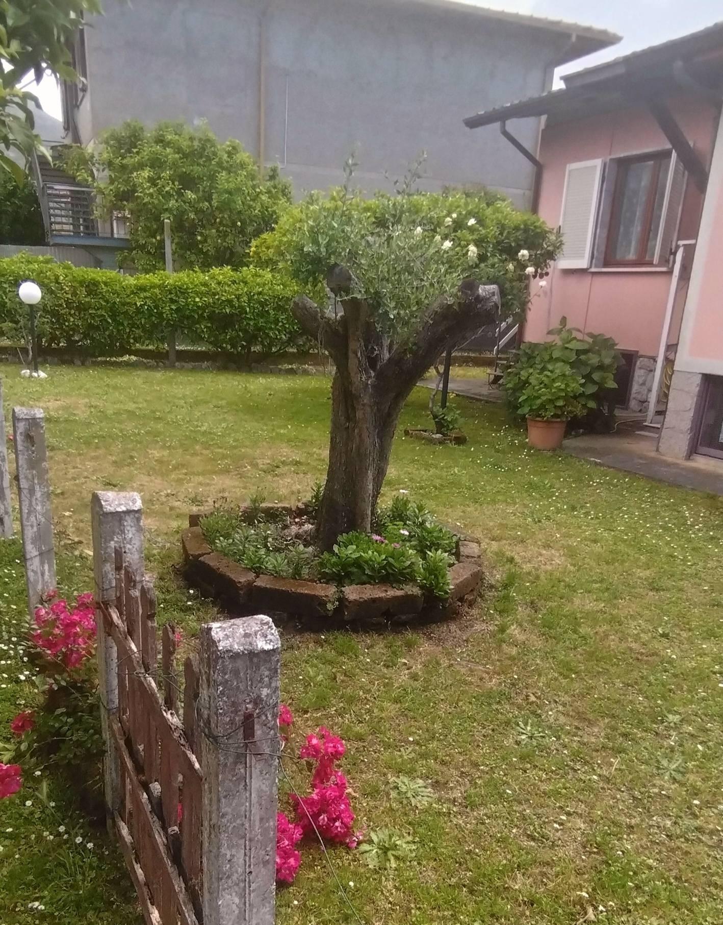 Casa indipendente con giardino a Massa
