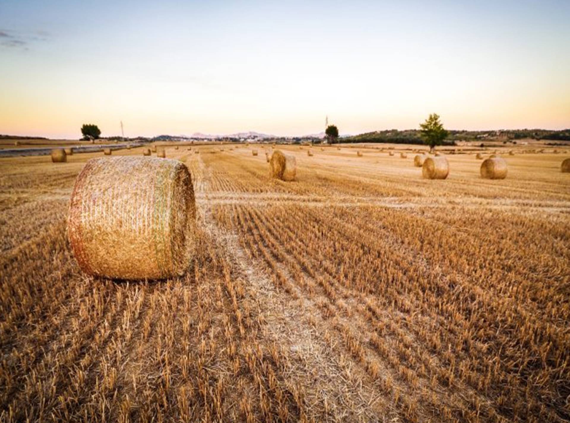 Terreno in vendita a Bellinzago Novarese