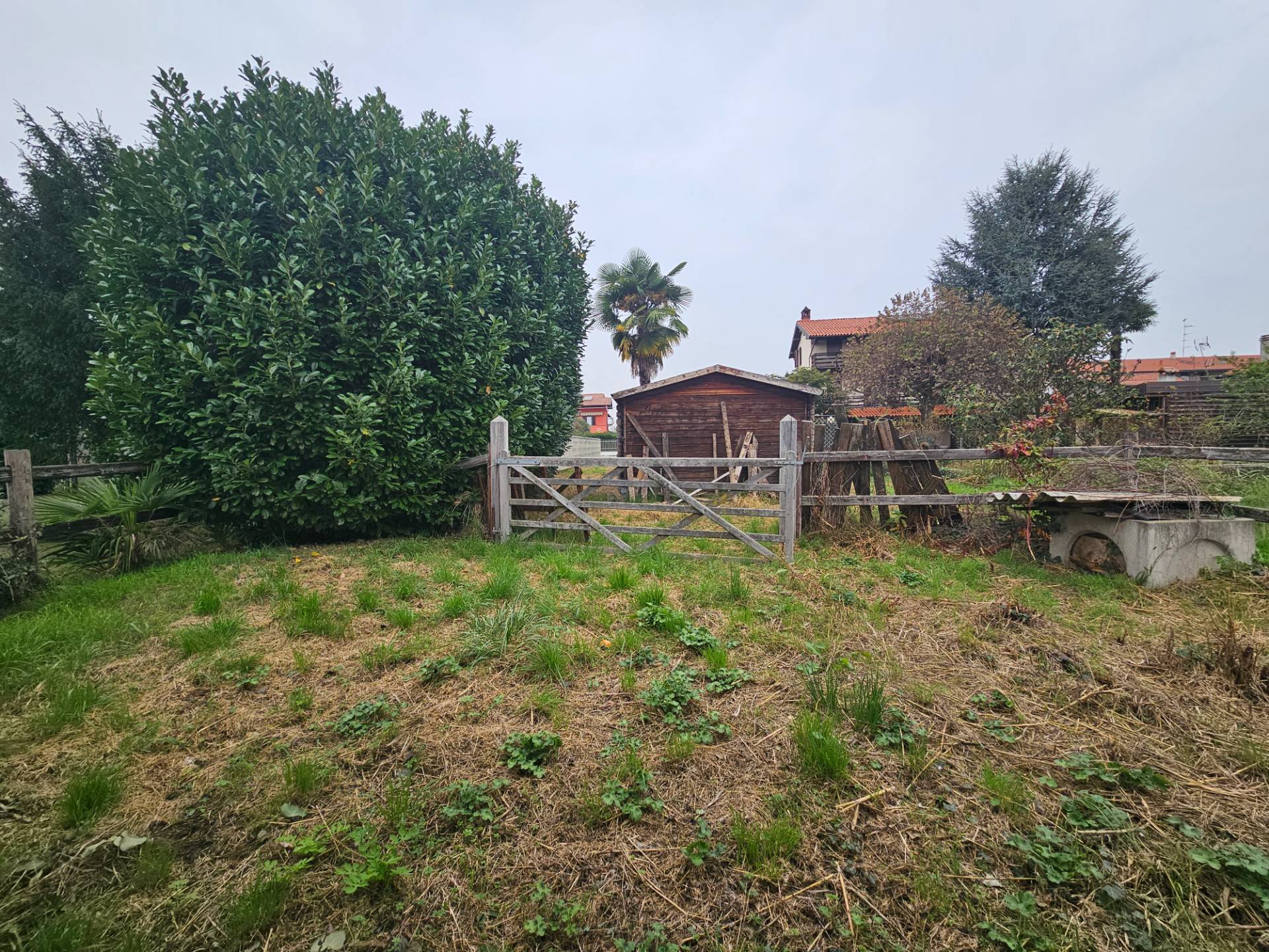 immagine annuncio 3 di 10