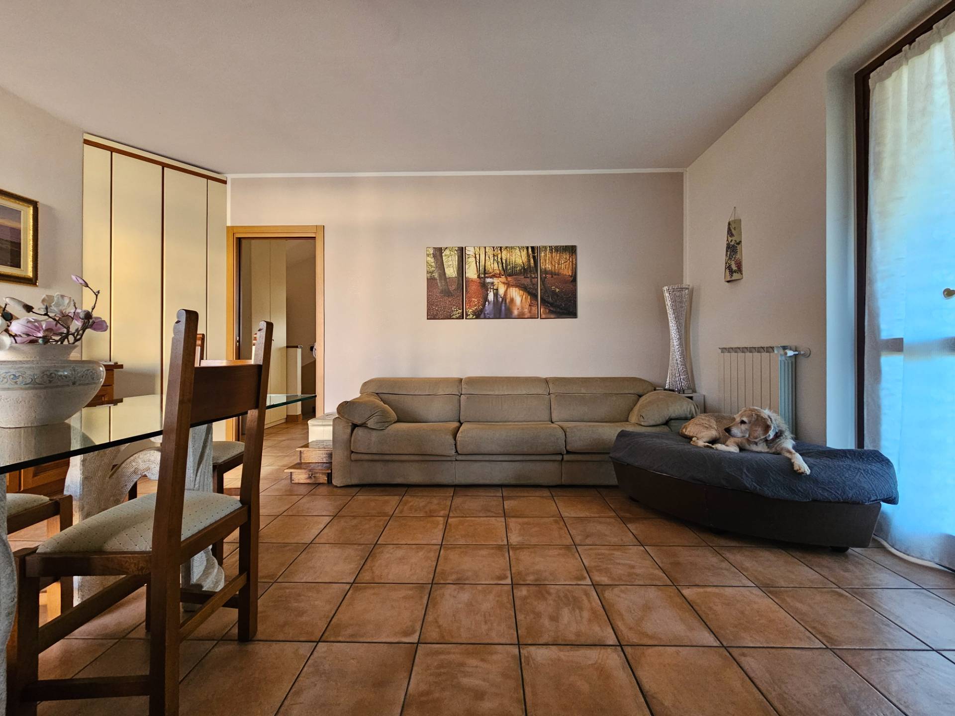 Villa bifamiliare in vendita a Marano Ticino