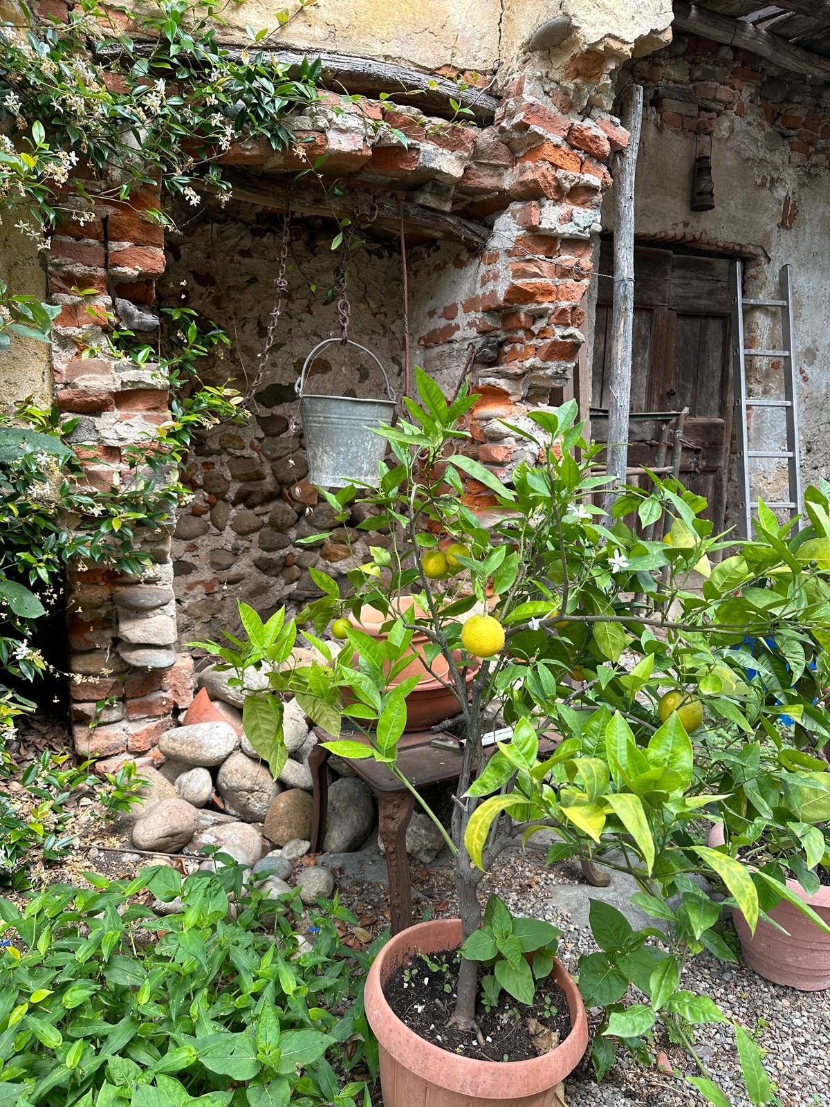 Rustico in vendita a Vaprio d'Agogna