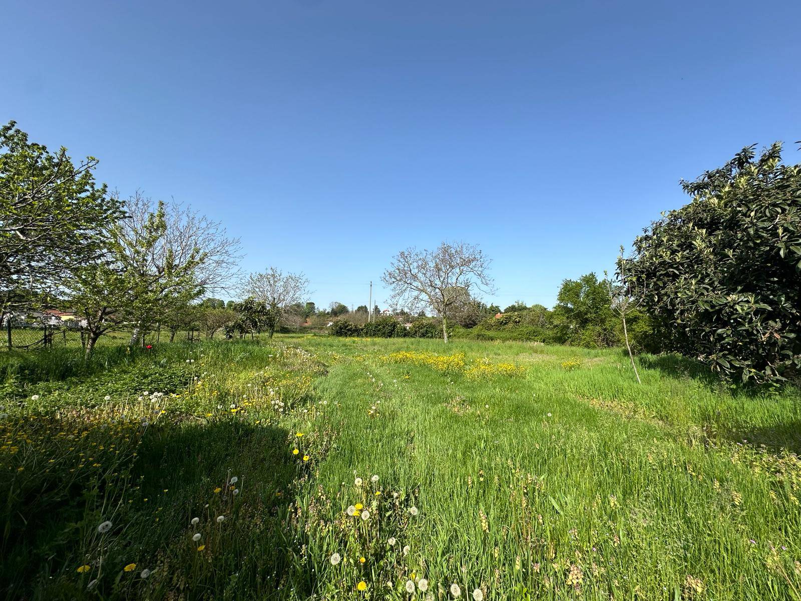 Porzione di cascina in vendita a Oleggio