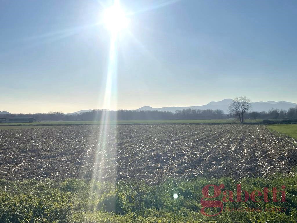 Terreno Agricolo in vendita a San Tammaro