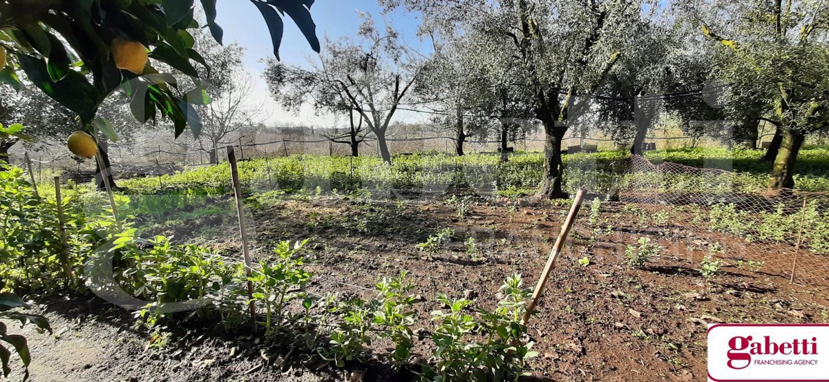 Villa con giardino a Teano