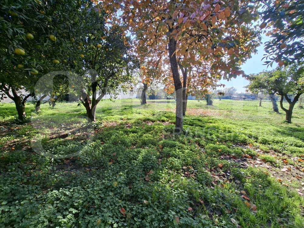 Casa indipendente con giardino a Capua