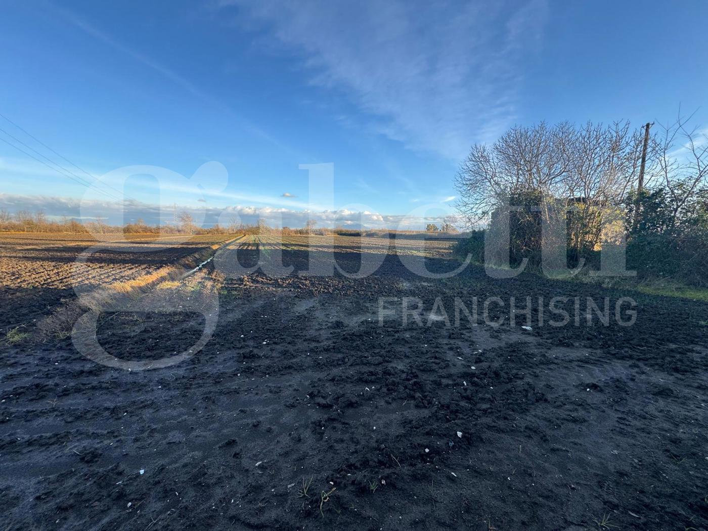 Terreno Agricolo in vendita a San Tammaro