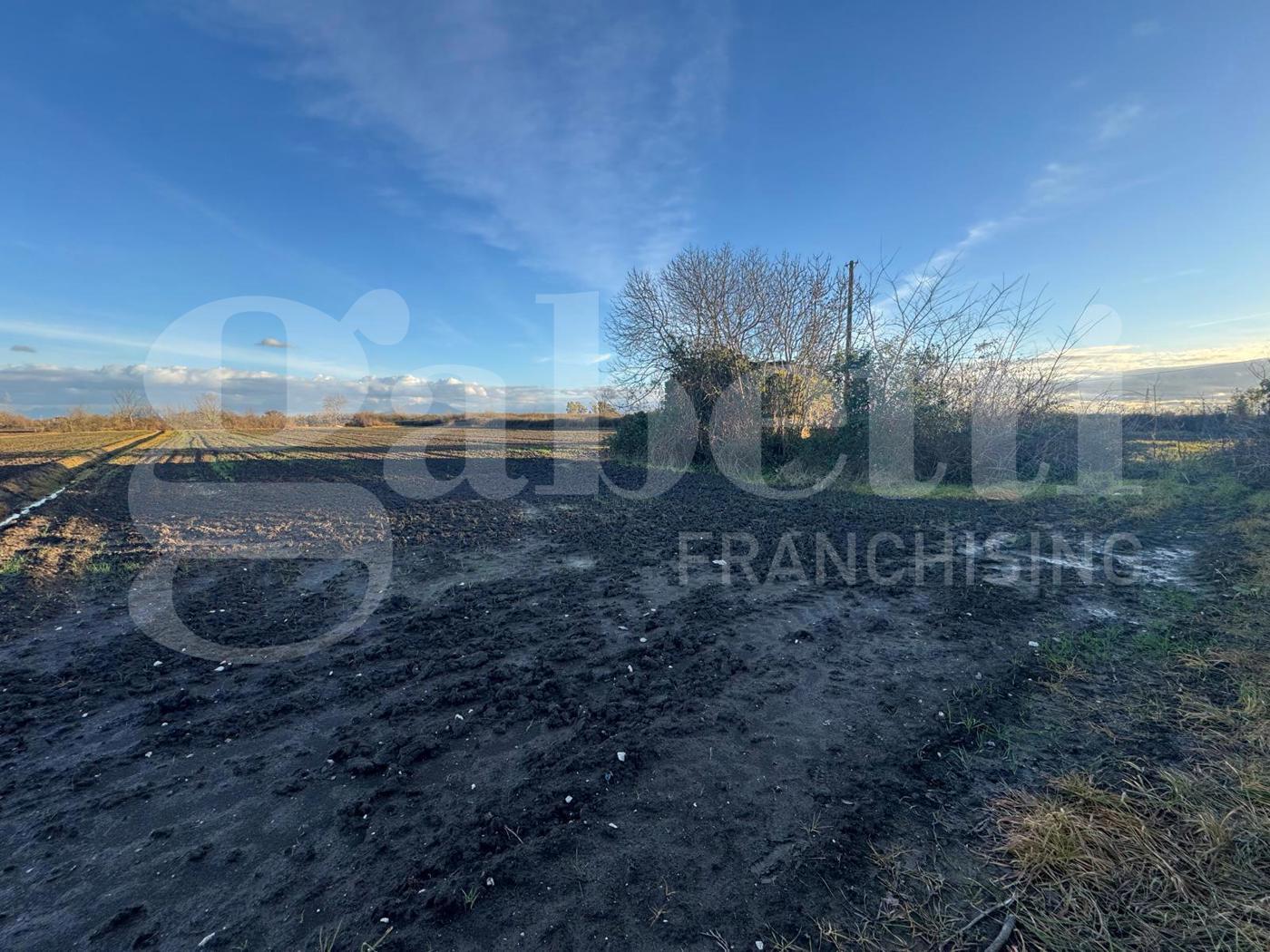 Terreno Agricolo in vendita a San Tammaro