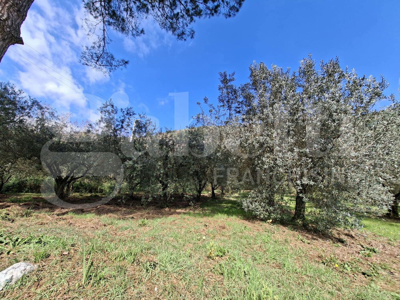 Terreno Agricolo in vendita a Vairano Patenora