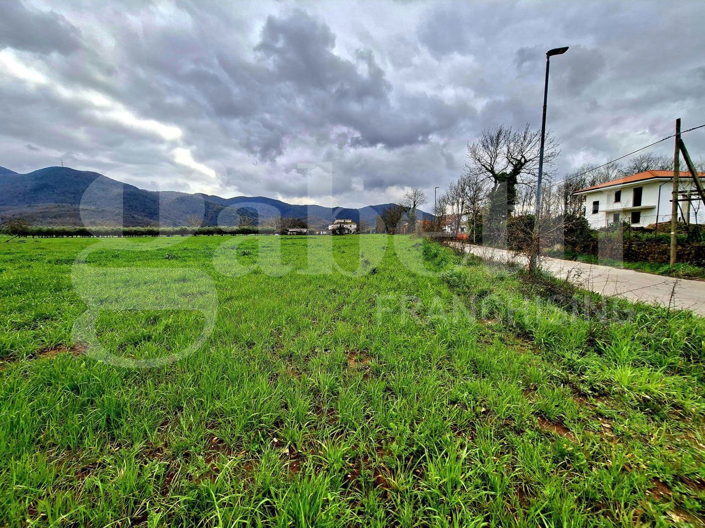 Terreno Agricolo in vendita a Riardo