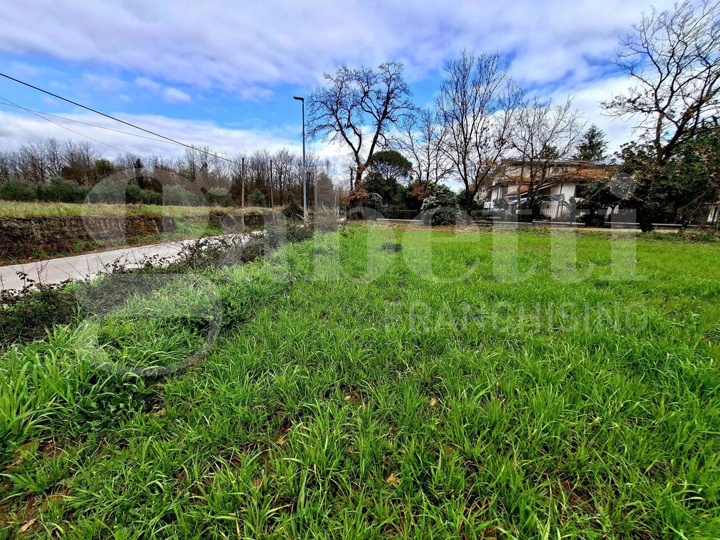 Terreno Agricolo in vendita a Riardo