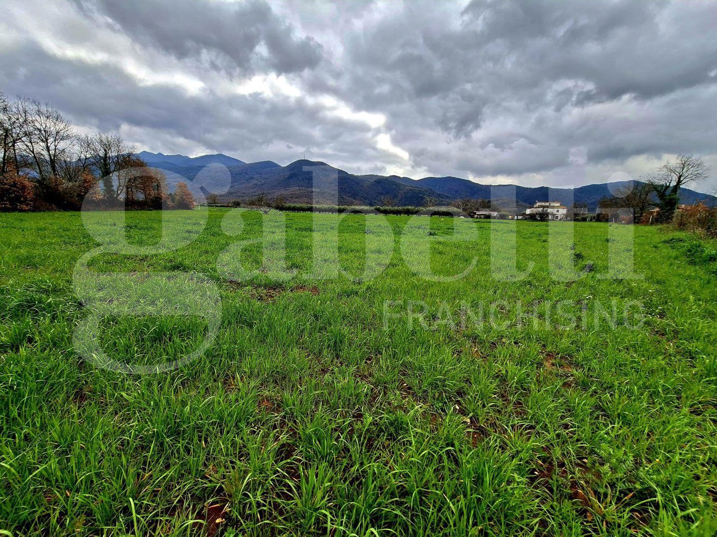 Terreno Agricolo in vendita a Riardo