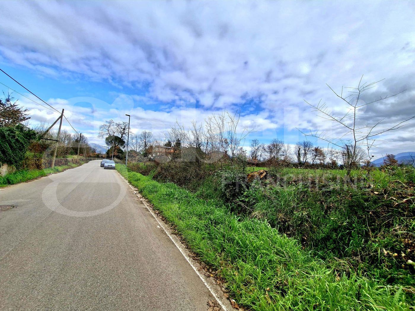Terreno Agricolo in vendita a Riardo
