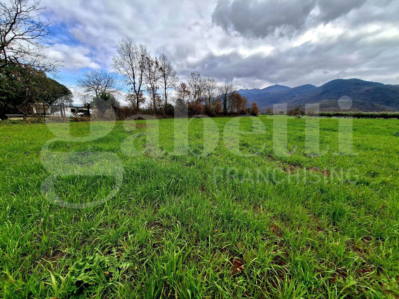 Terreno Agricolo in vendita a Riardo