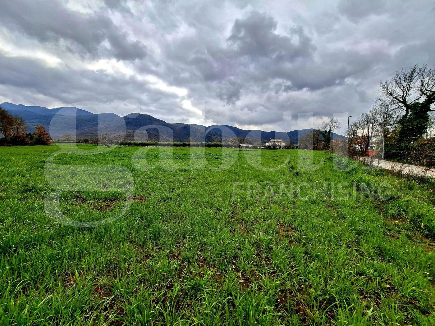 Terreno Agricolo in vendita a Riardo