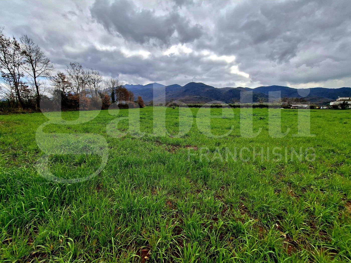 Terreno Agricolo in vendita a Riardo