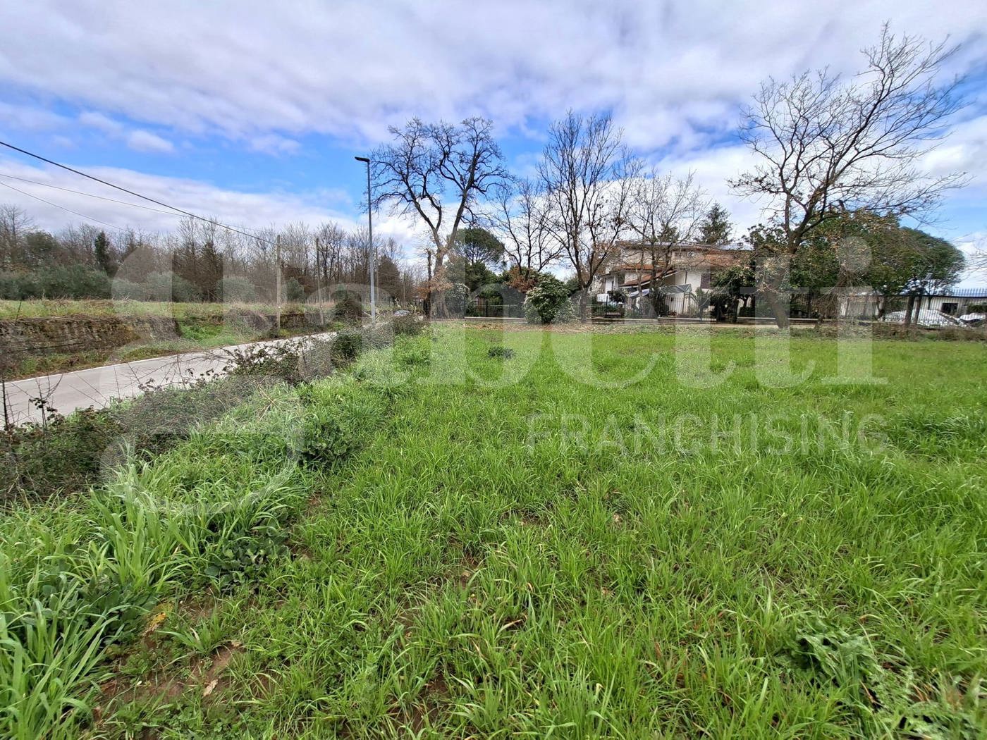 Terreno Agricolo in vendita a Riardo