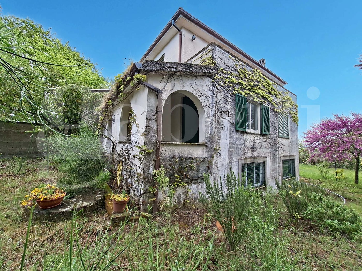 Casa indipendente con giardino a Teano