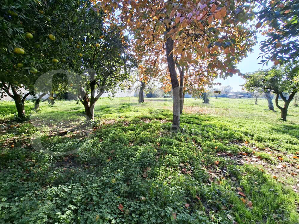 Casa indipendente con giardino a Capua
