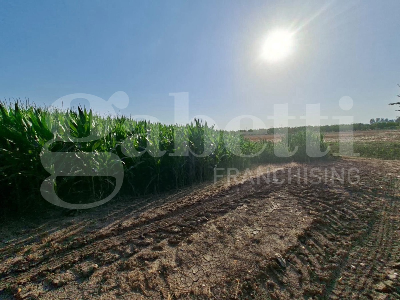 Terreno Agricolo in vendita a Santa Maria La Fossa