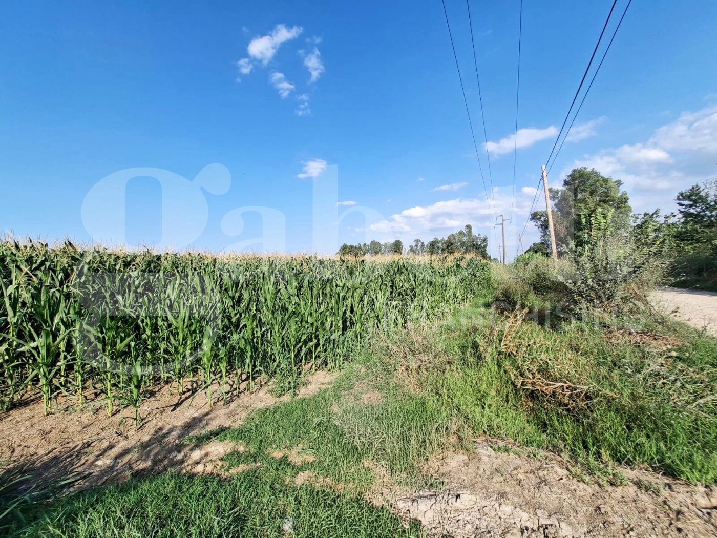 Terreno Agricolo in vendita a Santa Maria La Fossa