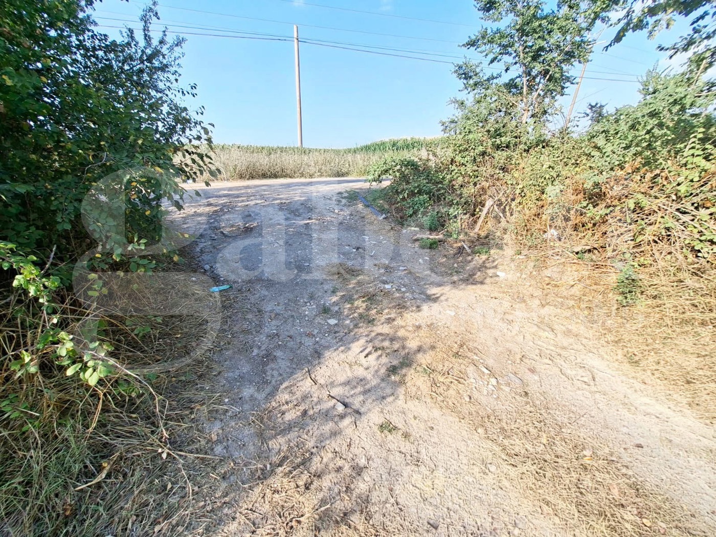 Terreno Agricolo in vendita a Santa Maria La Fossa