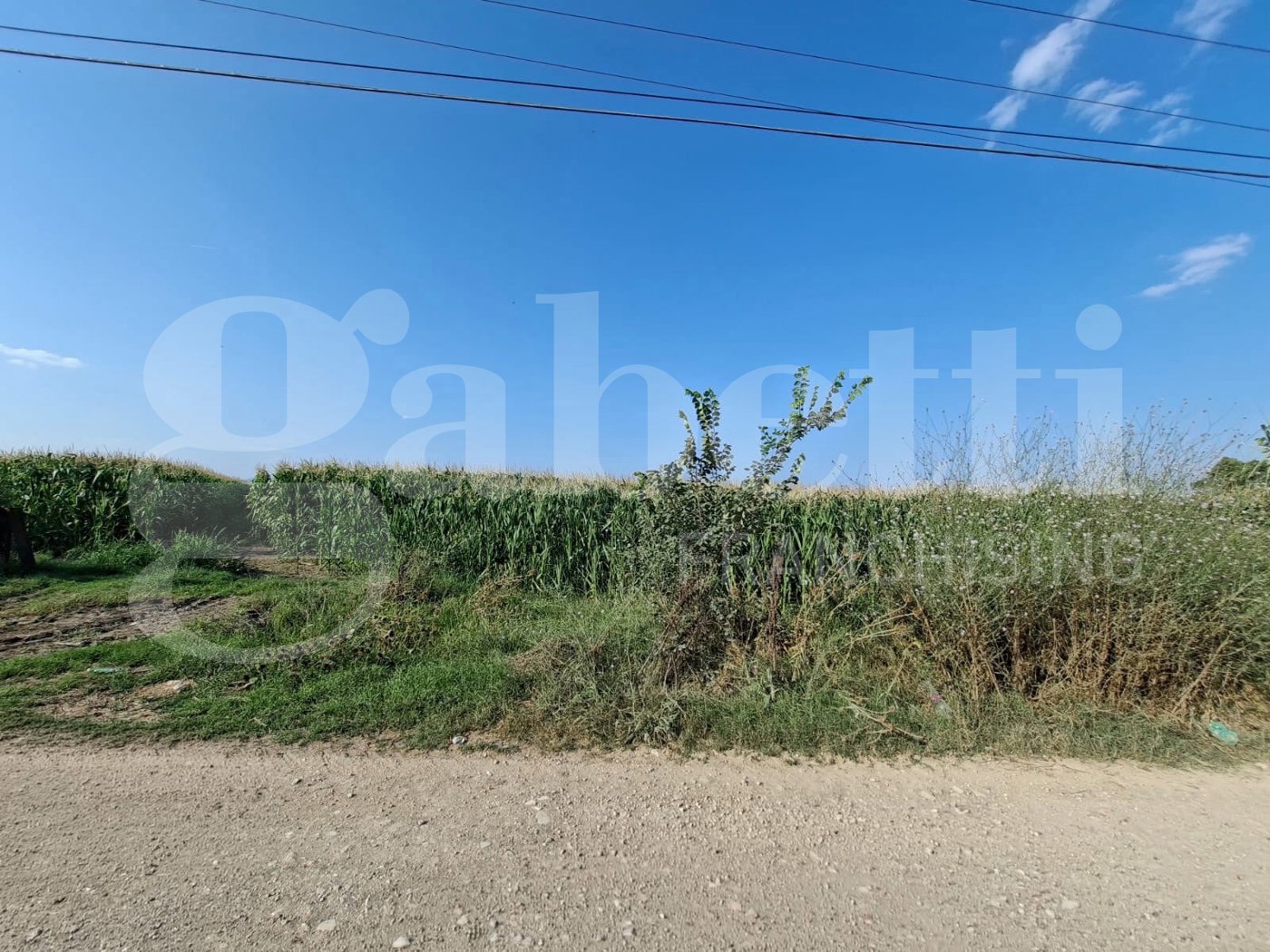 Terreno Agricolo in vendita a Santa Maria La Fossa