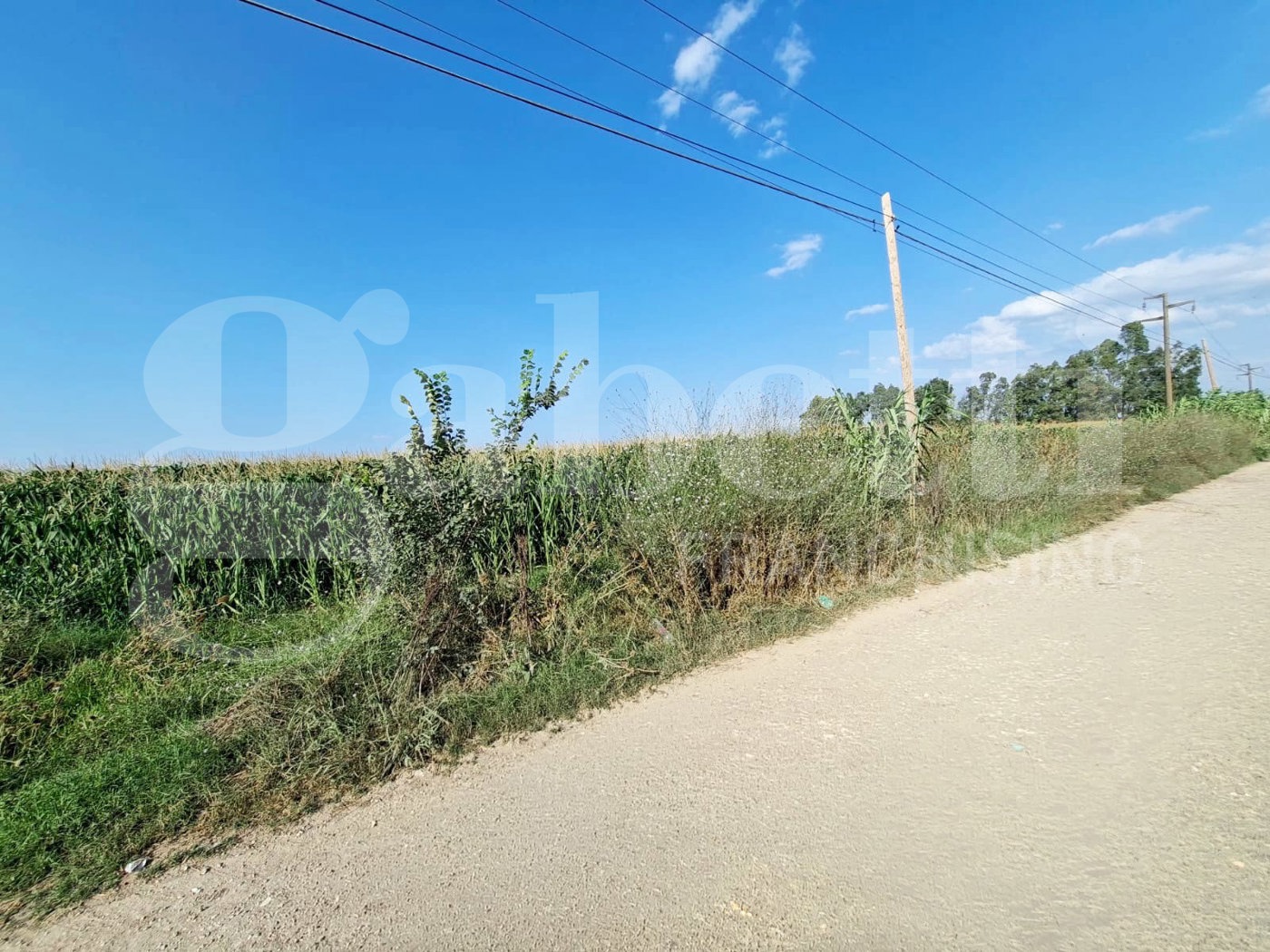 Terreno Agricolo in vendita a Santa Maria La Fossa