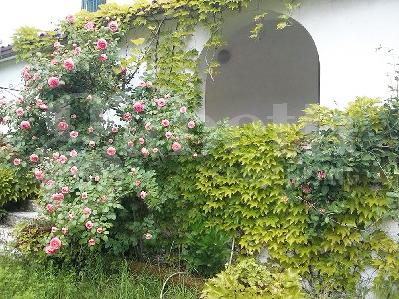 Casa indipendente con giardino a Teano