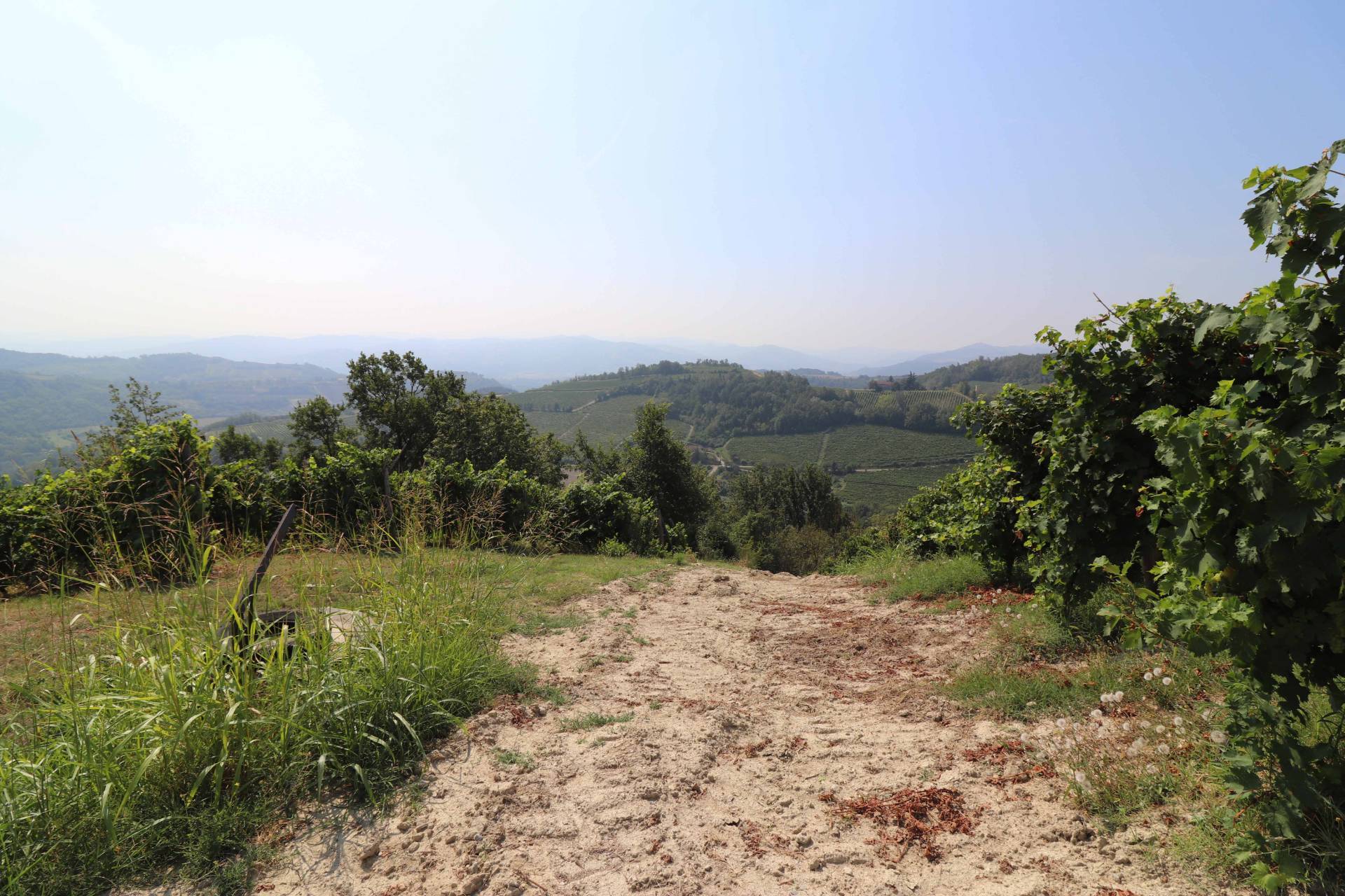 Terreno agricolo in vendita a Montabone