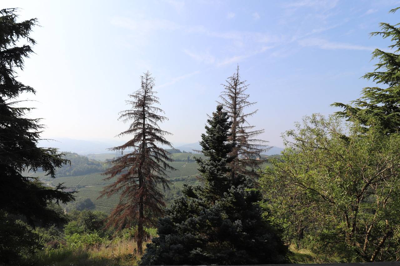 Terreno agricolo in vendita a Montabone