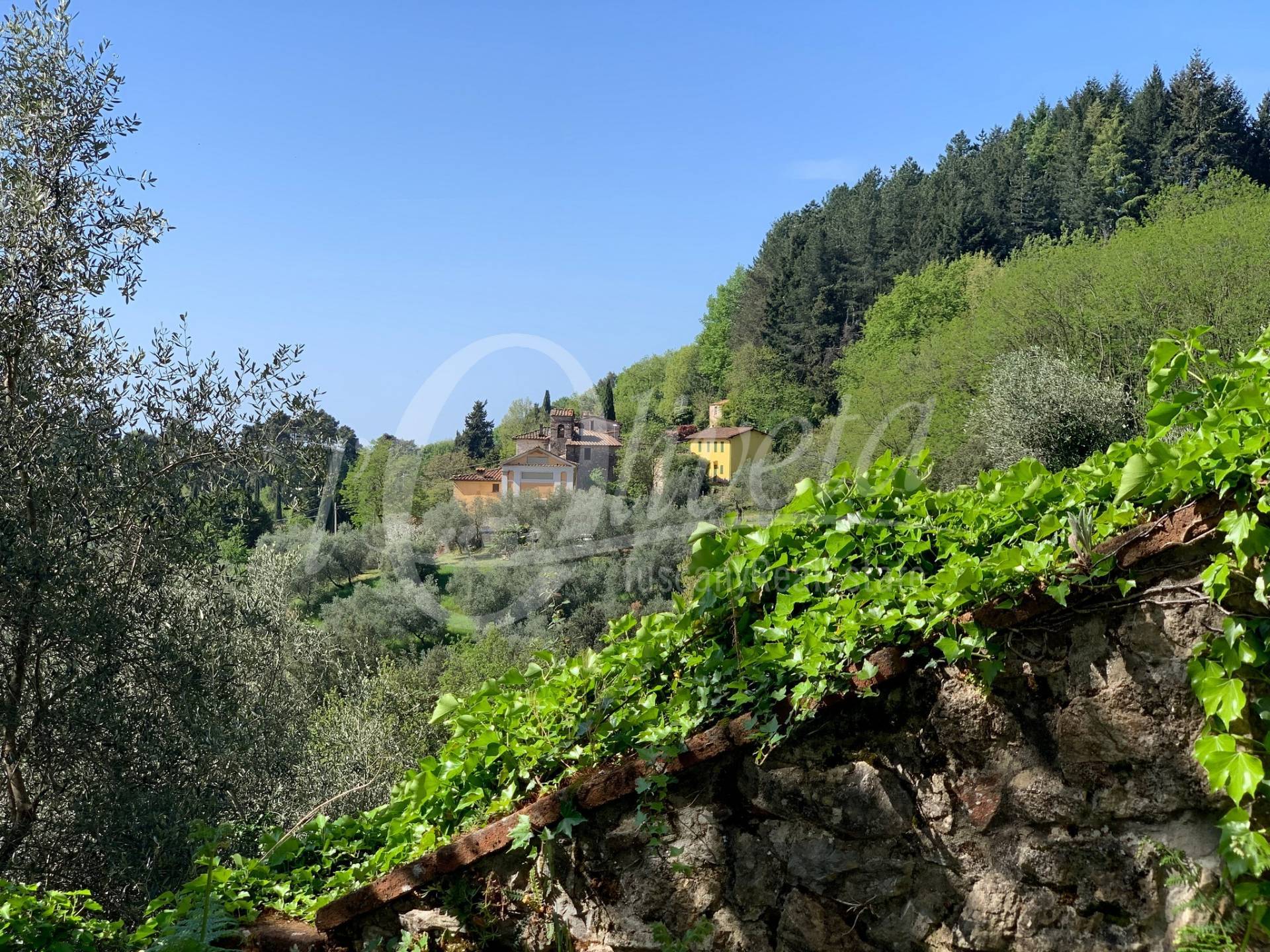 Casa semindipendente in vendita a Camaiore, colline di Camaiore
