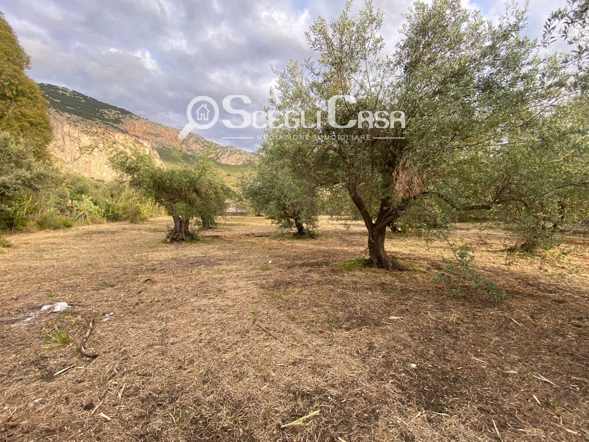 Terreno in vendita a Capaci