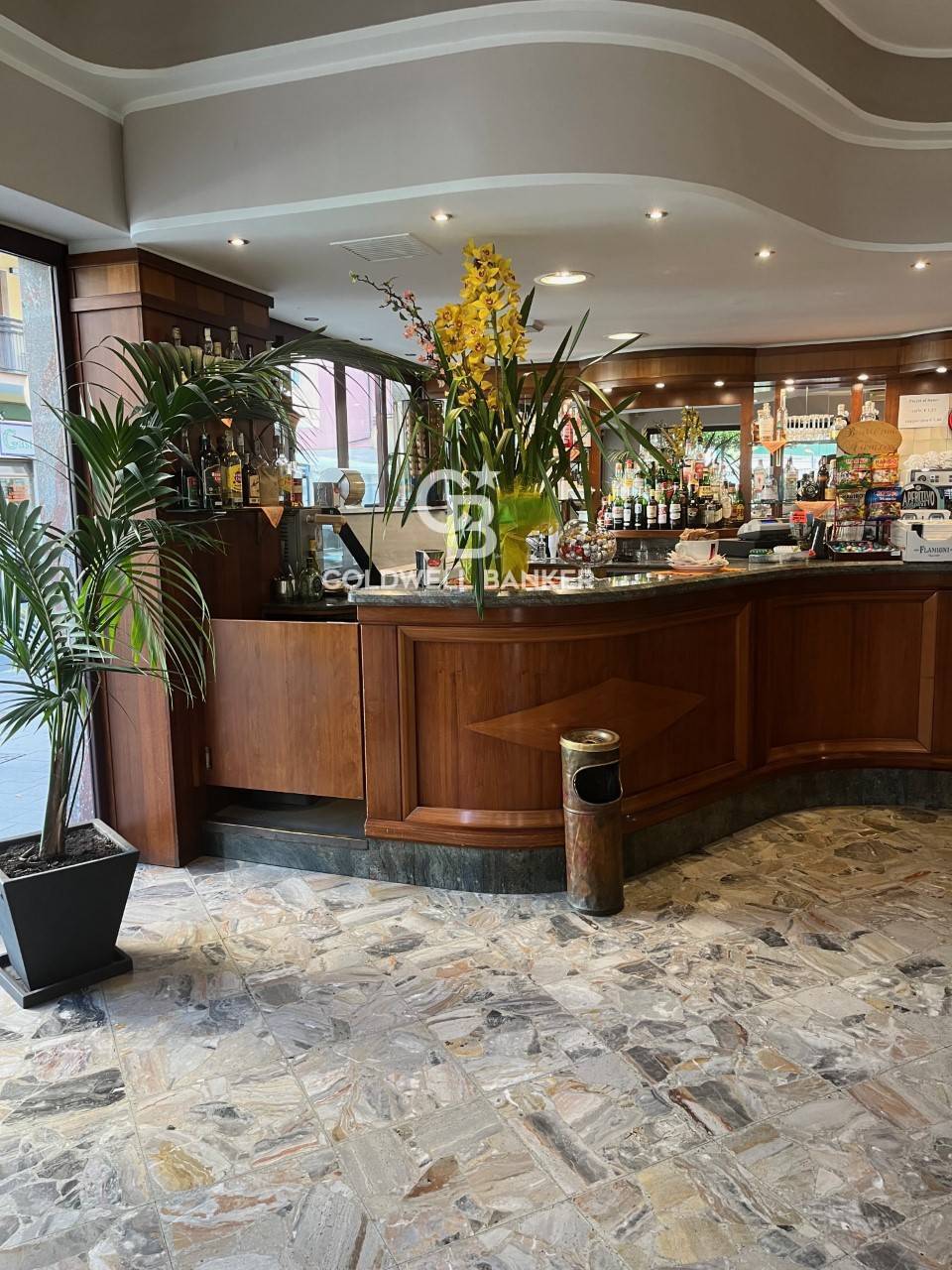 Bar / Caffetteria in vendita a Andora