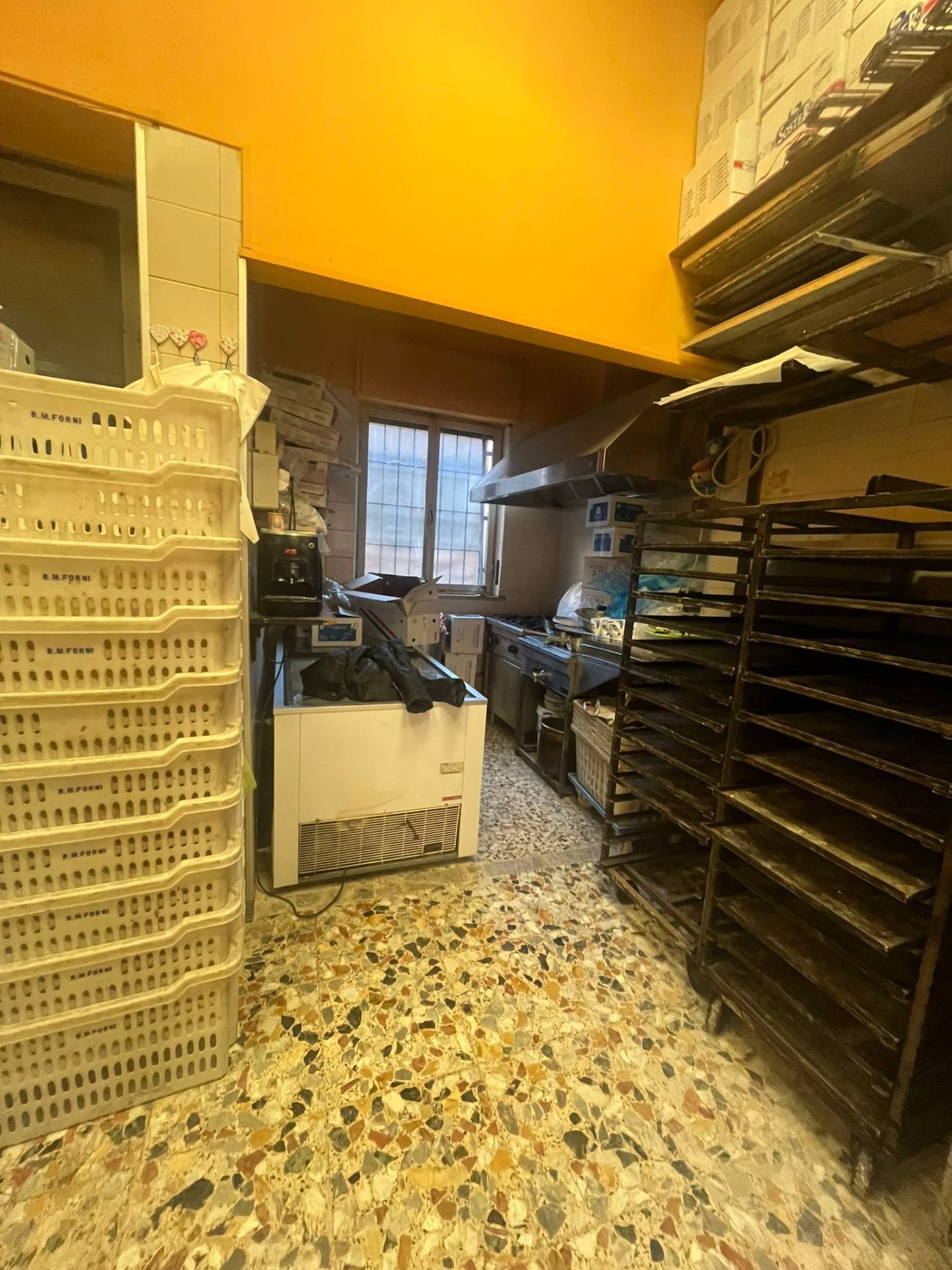 Attivit commerciale in vendita a Torino