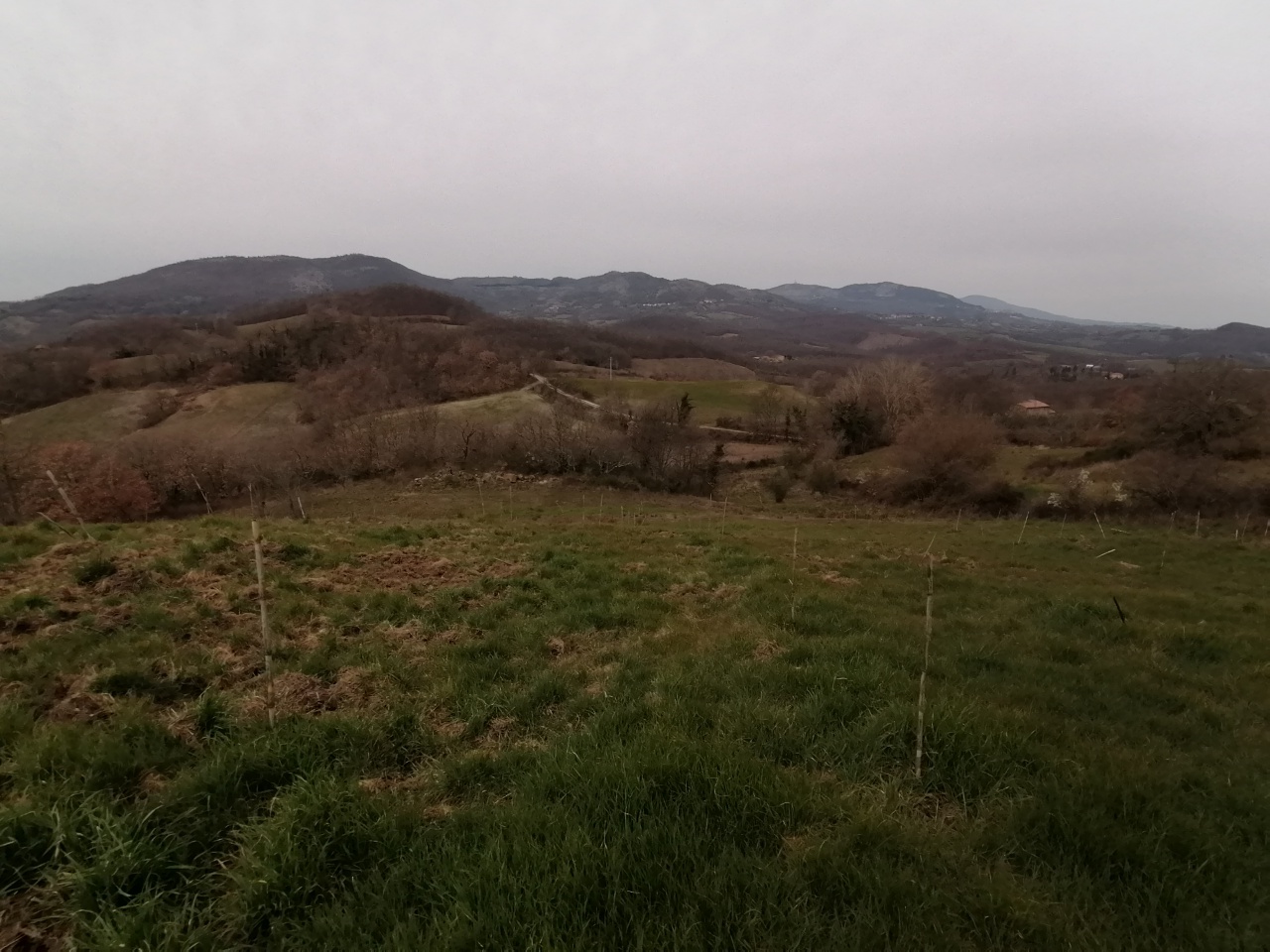 Terreno con giardino a Sorano