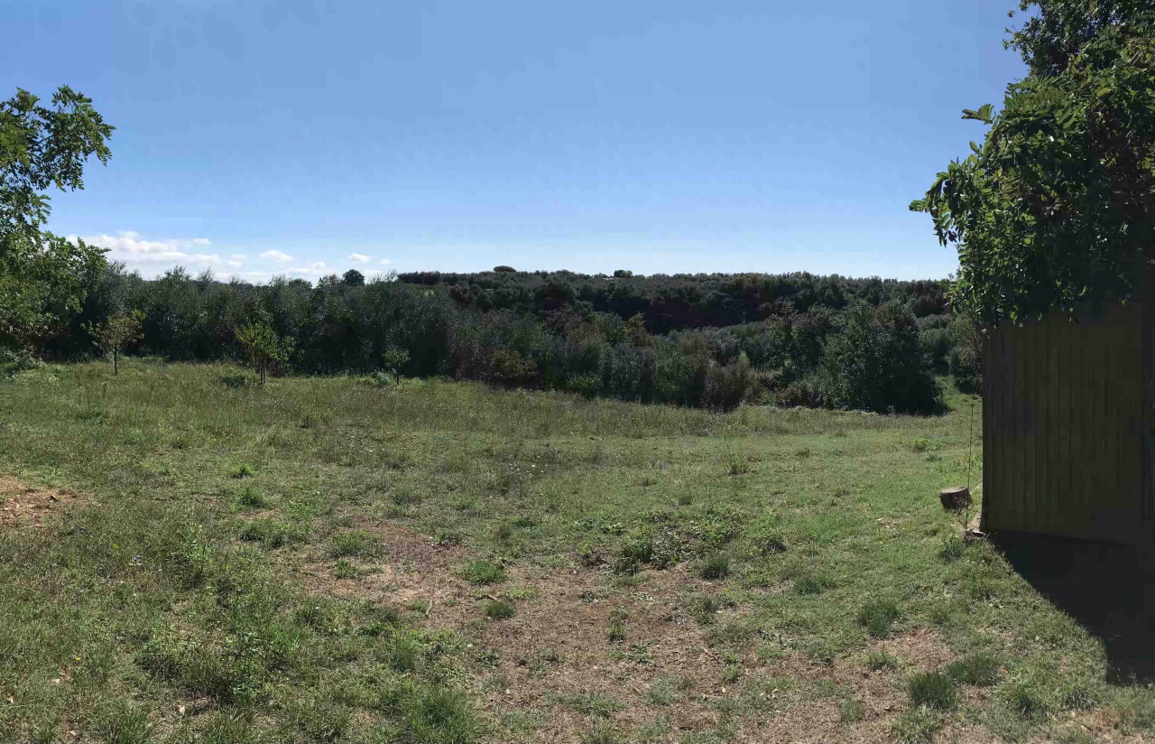 Terreno in vendita a Sorano