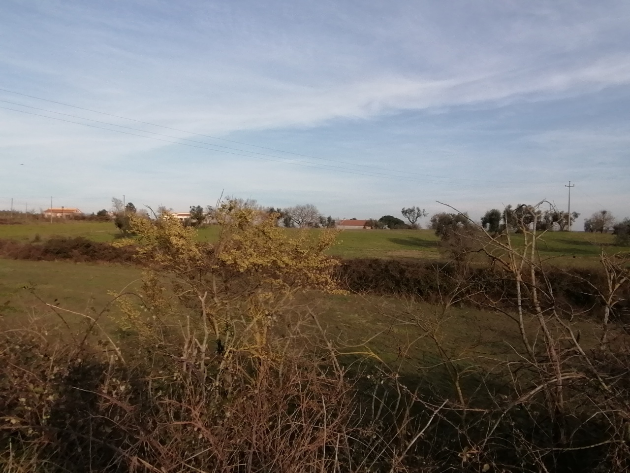 Terreno con giardino a Pitigliano